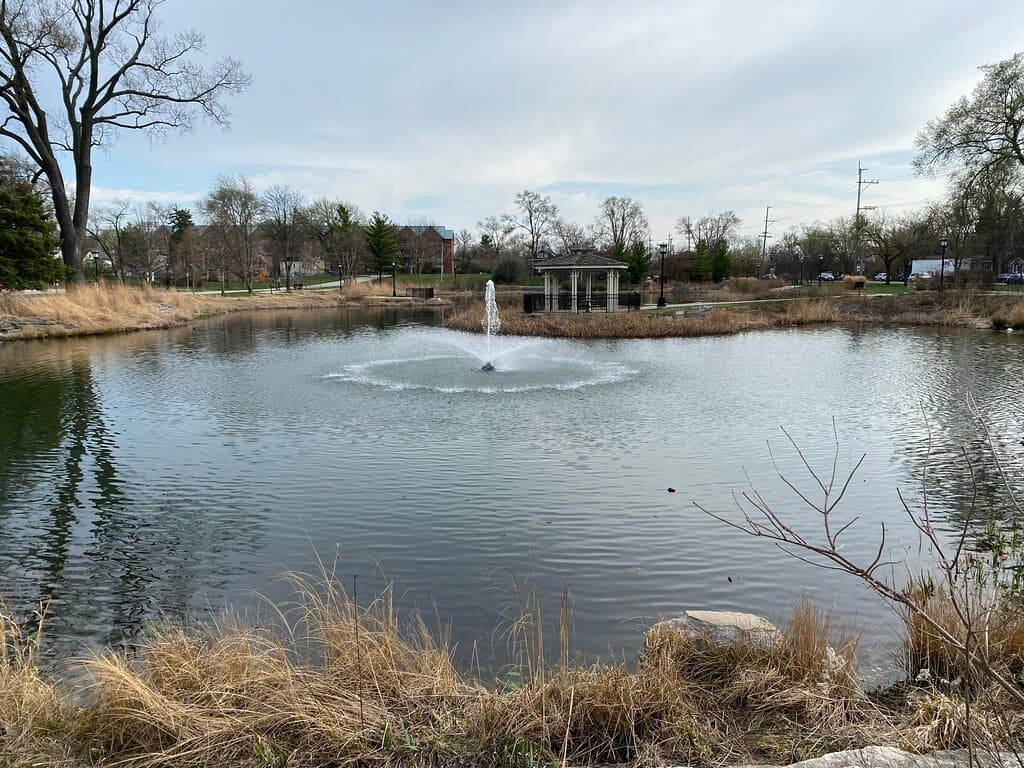 Pond view