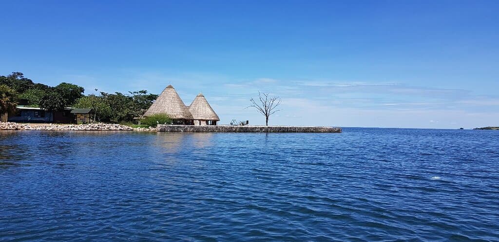 Ngamba Island Chimpanzee Sanctuary