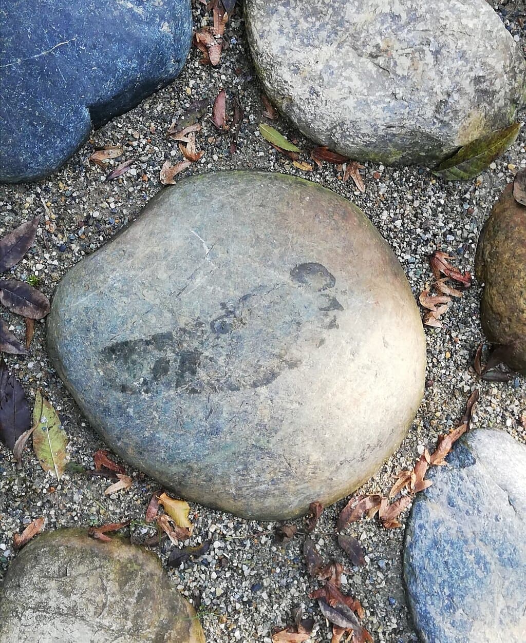 Cascina Brero Park Visitor Center