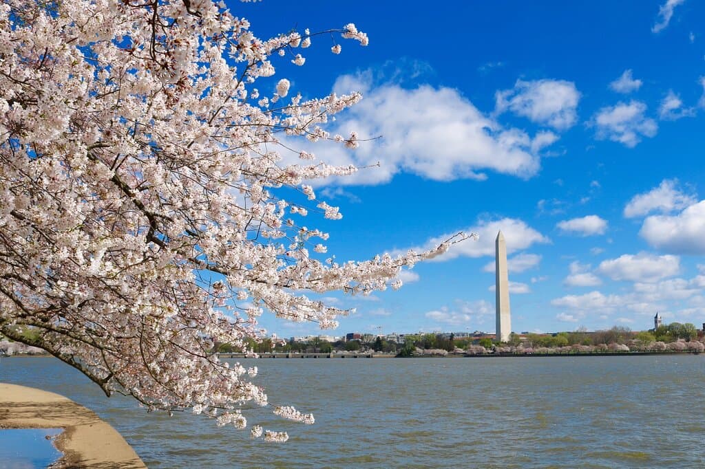 Tidal Basin