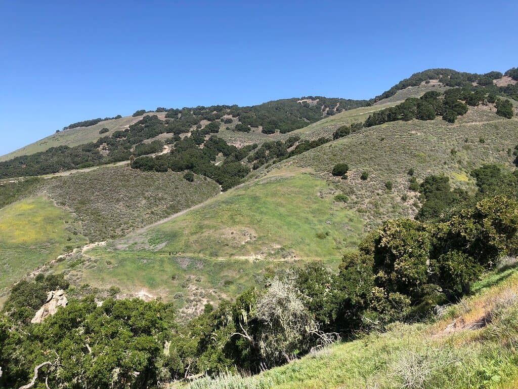 Pismo Preserve