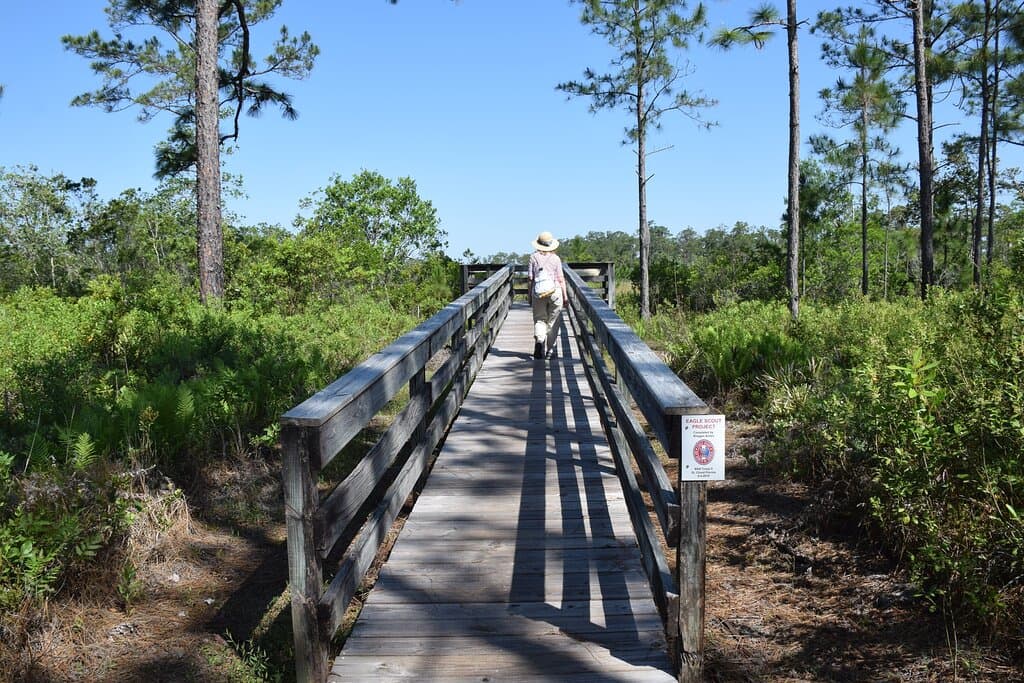 An Eagle Scout built this access to view the Saw Grass Marsh