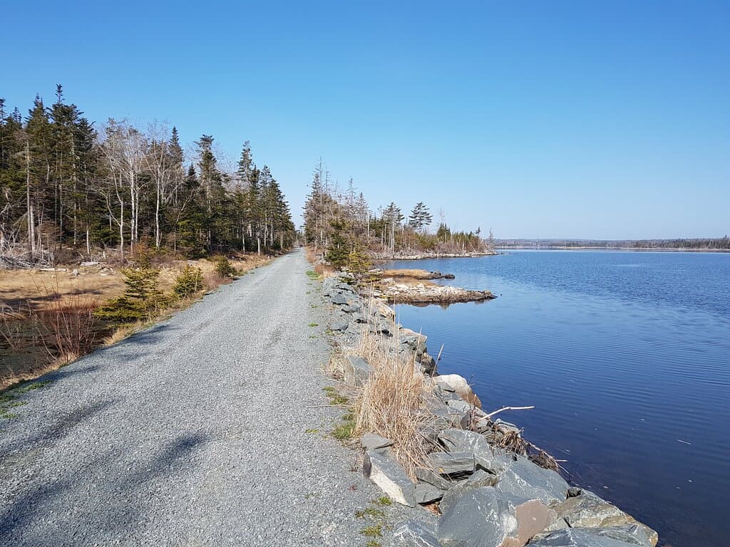 The Salt Marsh Trail meanders alongside the water.