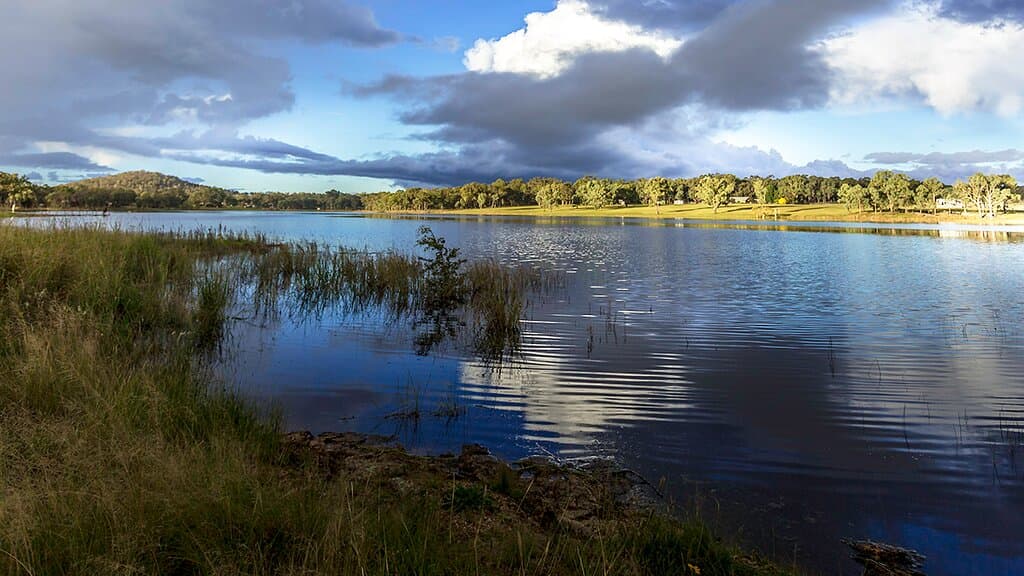 DOG FRIENDLY swimming at King Storm Dam, Stanthorpe.   Situated in the south-east of town and accessed via Eukey Road.  Beautiful rural setting. 