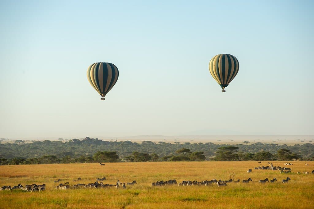 If you're lucky, you can see the migration below you