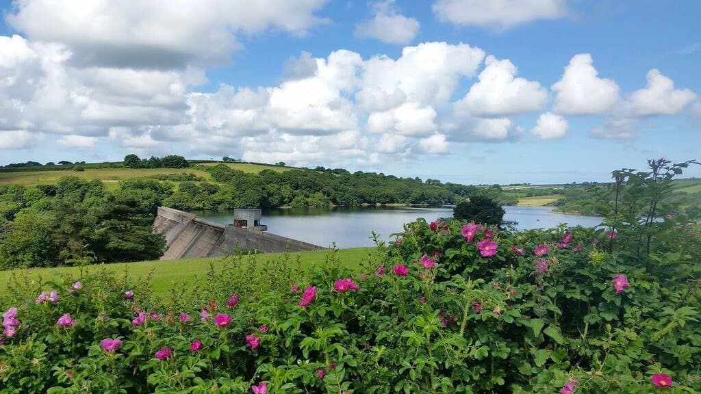 Llys-y-Fran Lake