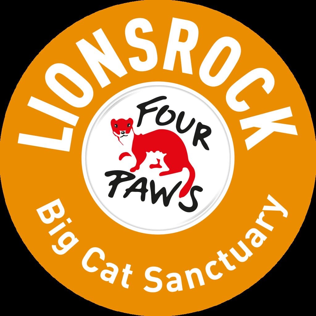 LIONSROCK Big Cat Sanctuary