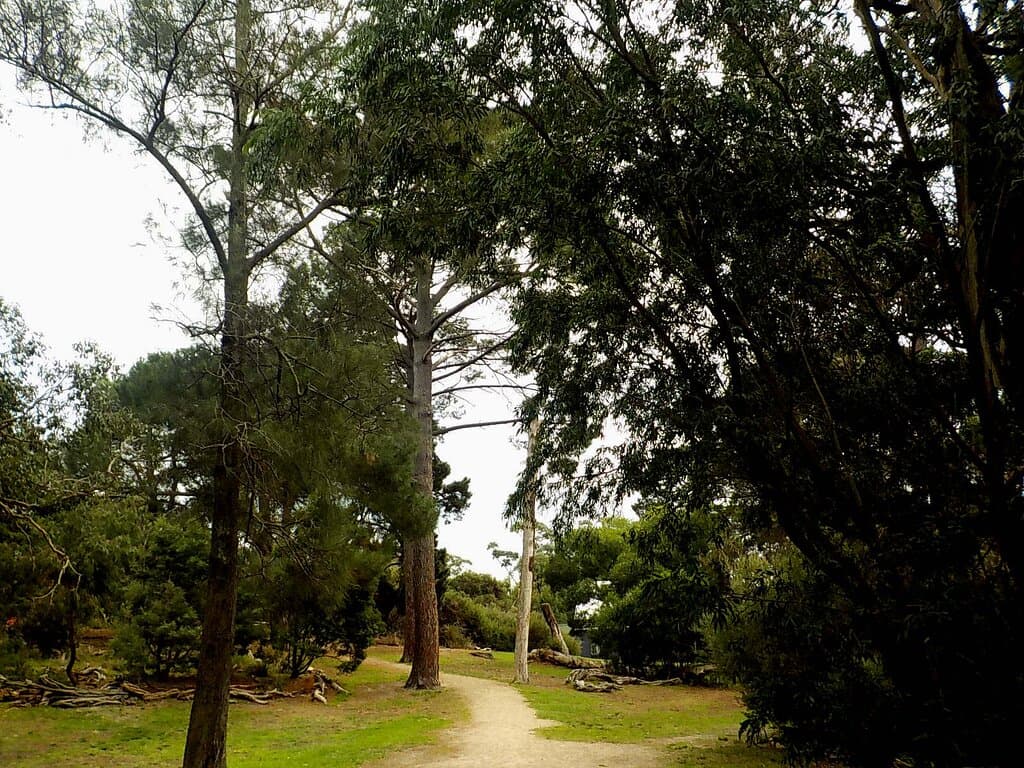 pleasant and easy walking