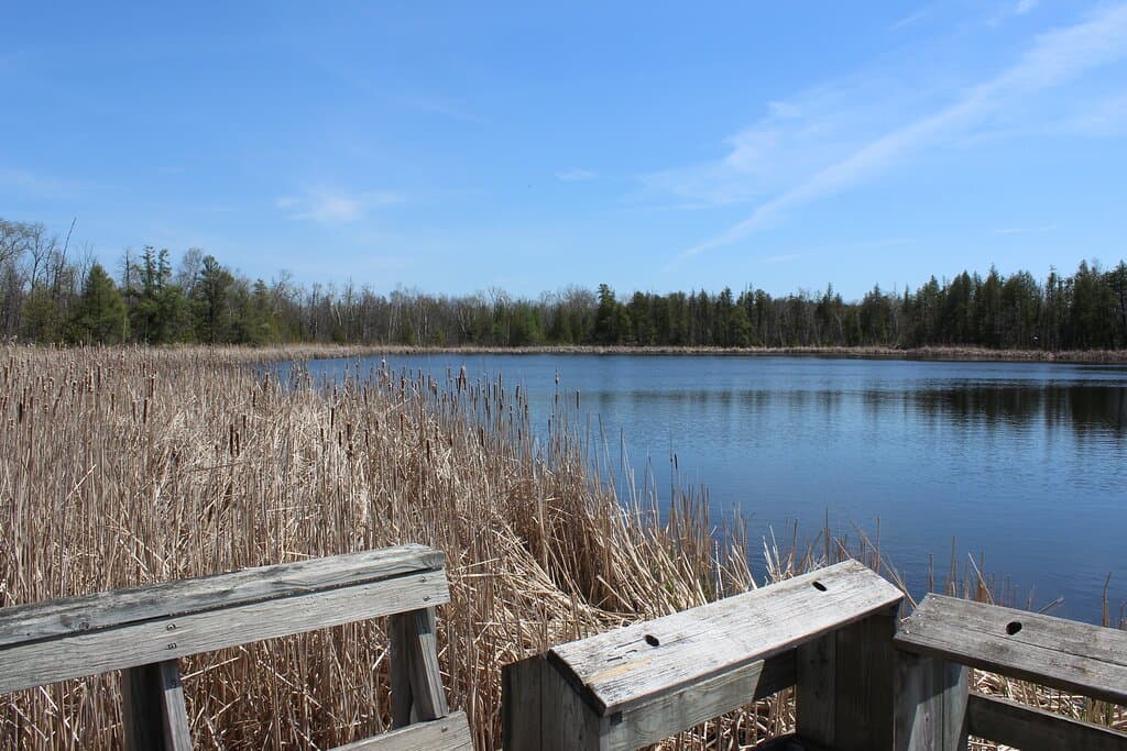 Watts Lake