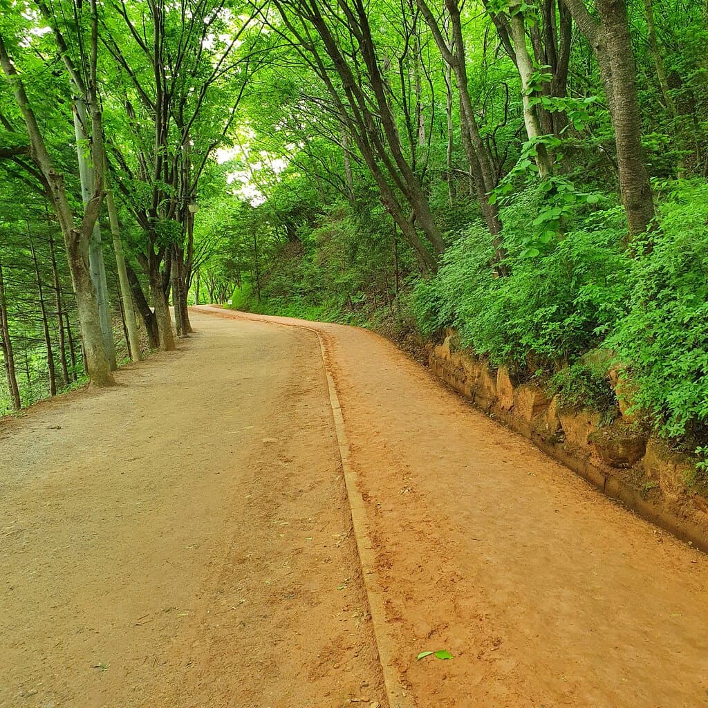 계족산 황토길