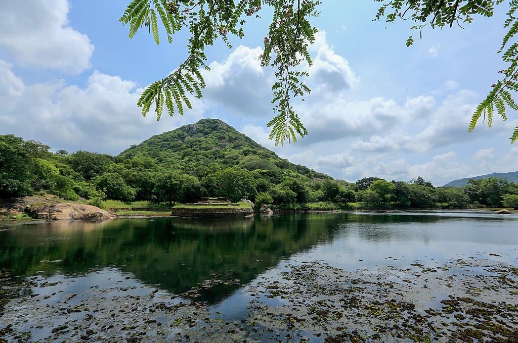 The region of Kaludiya Pokuna is often unexplored. It is a magical region that has a lake, a jungle and ancient ruins amidst it all.   . . . . #KaludiyaPokuna #VisitSriLanka #ExploreSriLanka #SoSriLanka #SriLankaTravel #ParadiseIsland #SriLanka