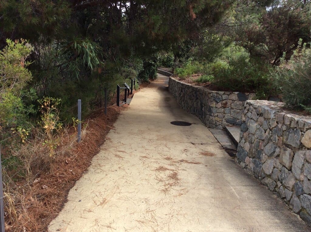 Section of Trail