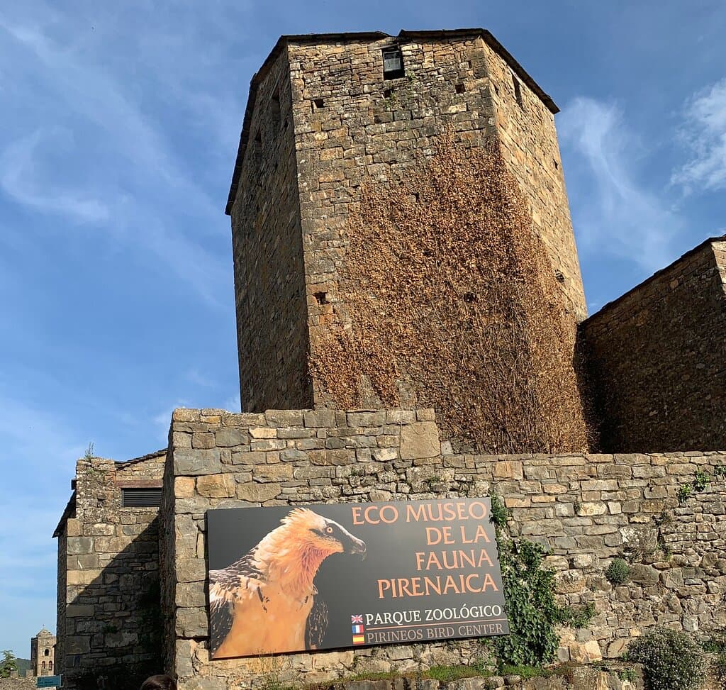 Ecomuseum of Pyrenean Fauna Aínsa