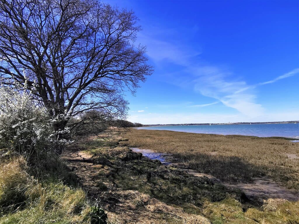 Visited on Saturday 17th April 2021 to Wrabness Nature Reserve, to walk a little of the Essex Way and see Grayson Perry's House for Essex, holiday let. We parked at Wrabness Train Station and walked the circa 150m past Grayson Perry's House for Essex onwards to the waters edge and the path which ran along it. The path here runs either way, and we chose to head down the river stour towards Harwich Docks. A nice walk and pretty quiet.