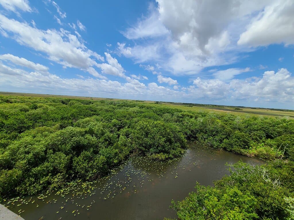 Shark Valley Observation Tower