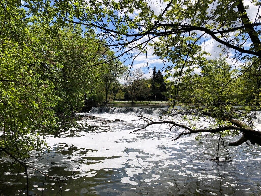 Pleasant stroll through the woods