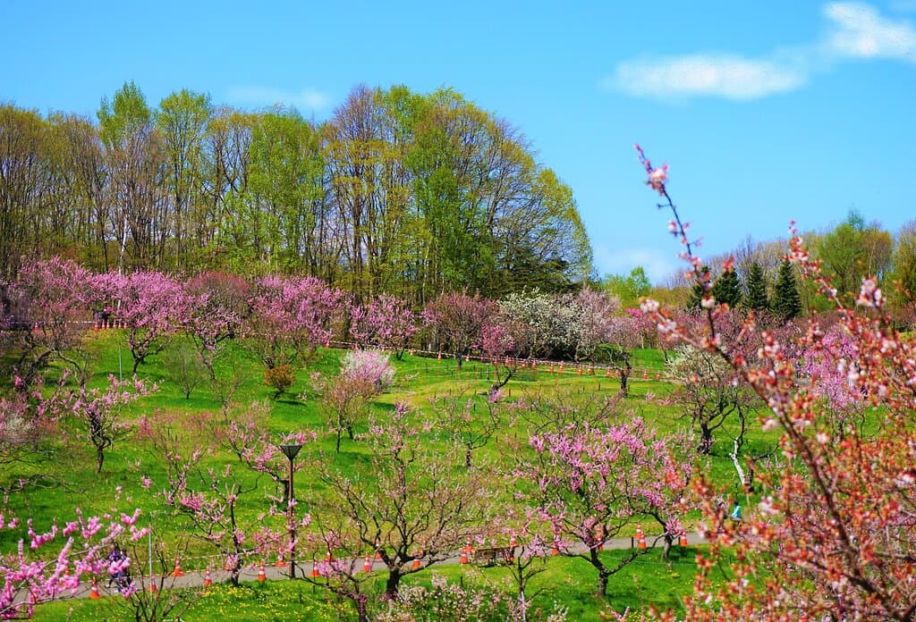 平岡公園～１３