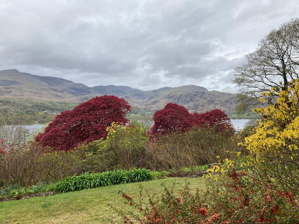 Brantwood Ruskin's House