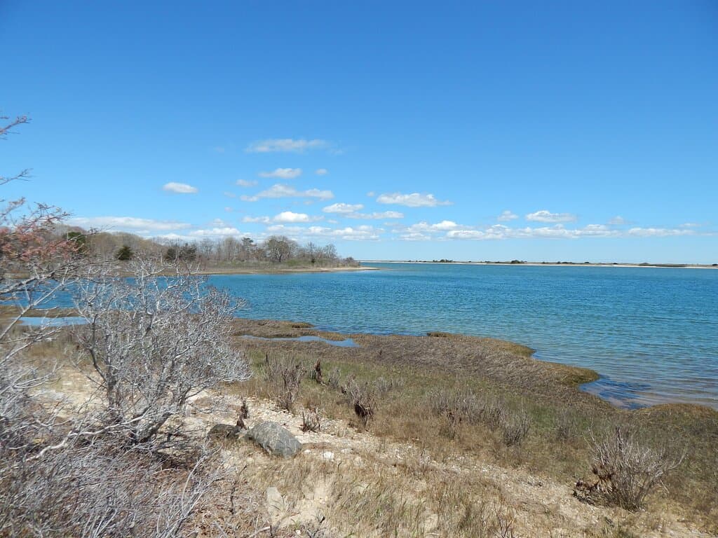 Different view of State Beach from Marsh Trail.
