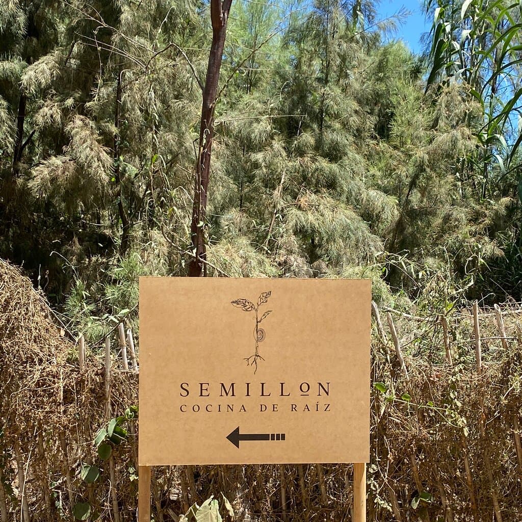 Semillon