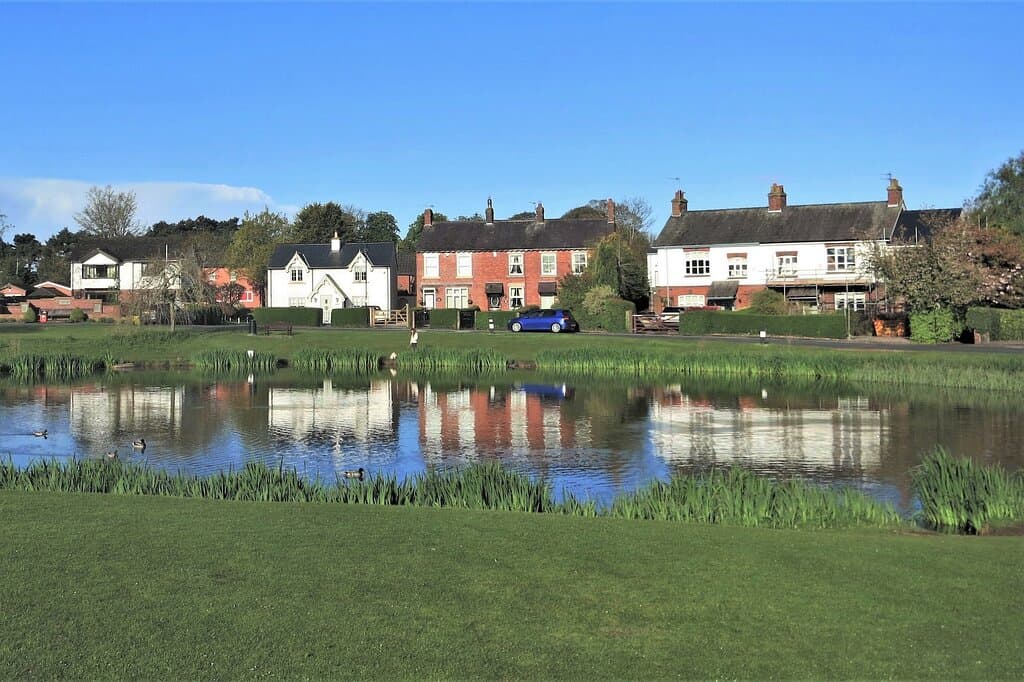 Duck Pond