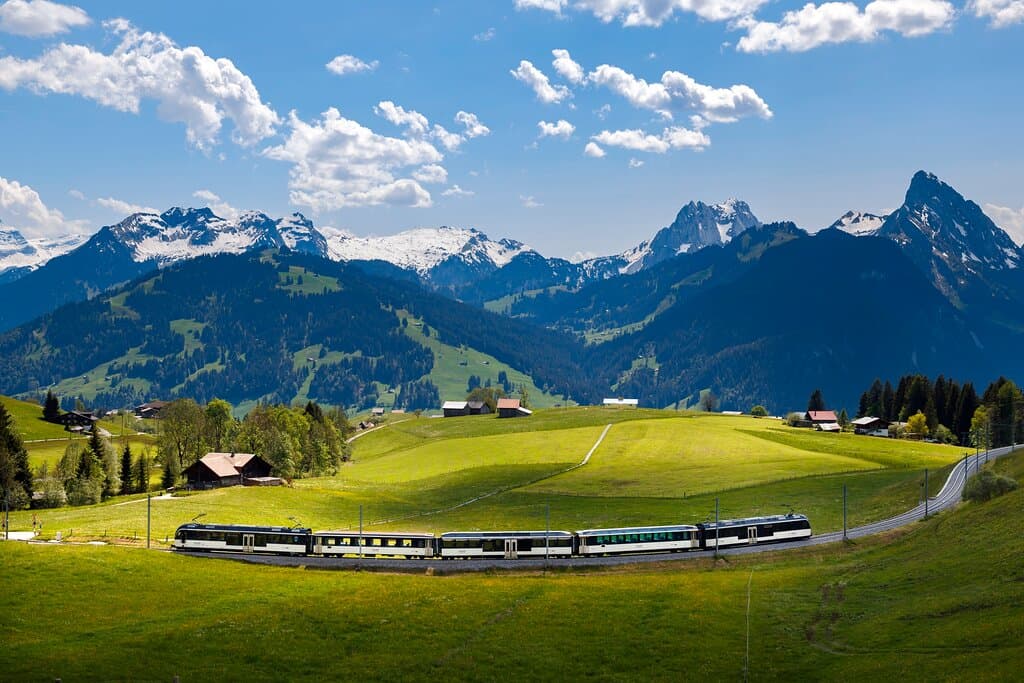 Panoramic Train