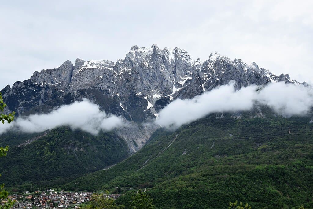 Vista