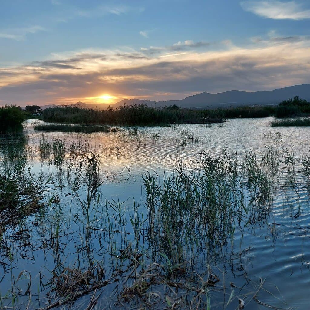 El Hondo Natural Park