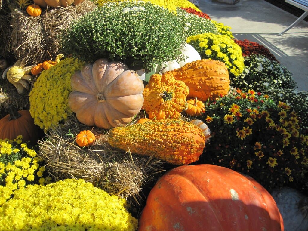 Nice photos ops everywhere