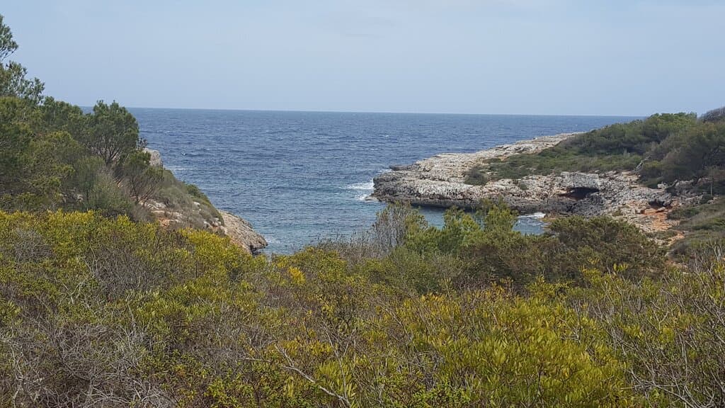 Cala Brafi