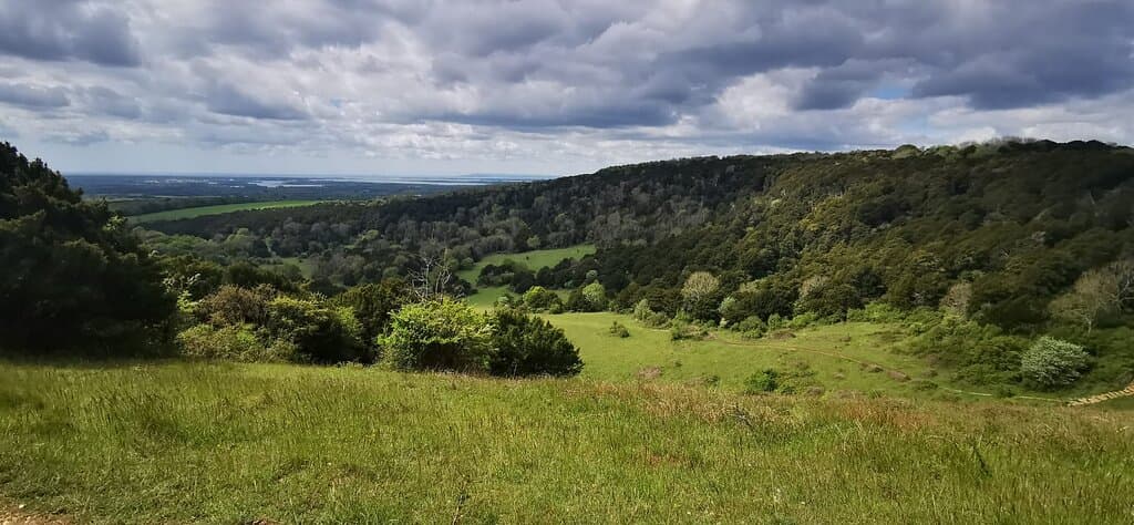 Kingley Vale National Nature Reserve