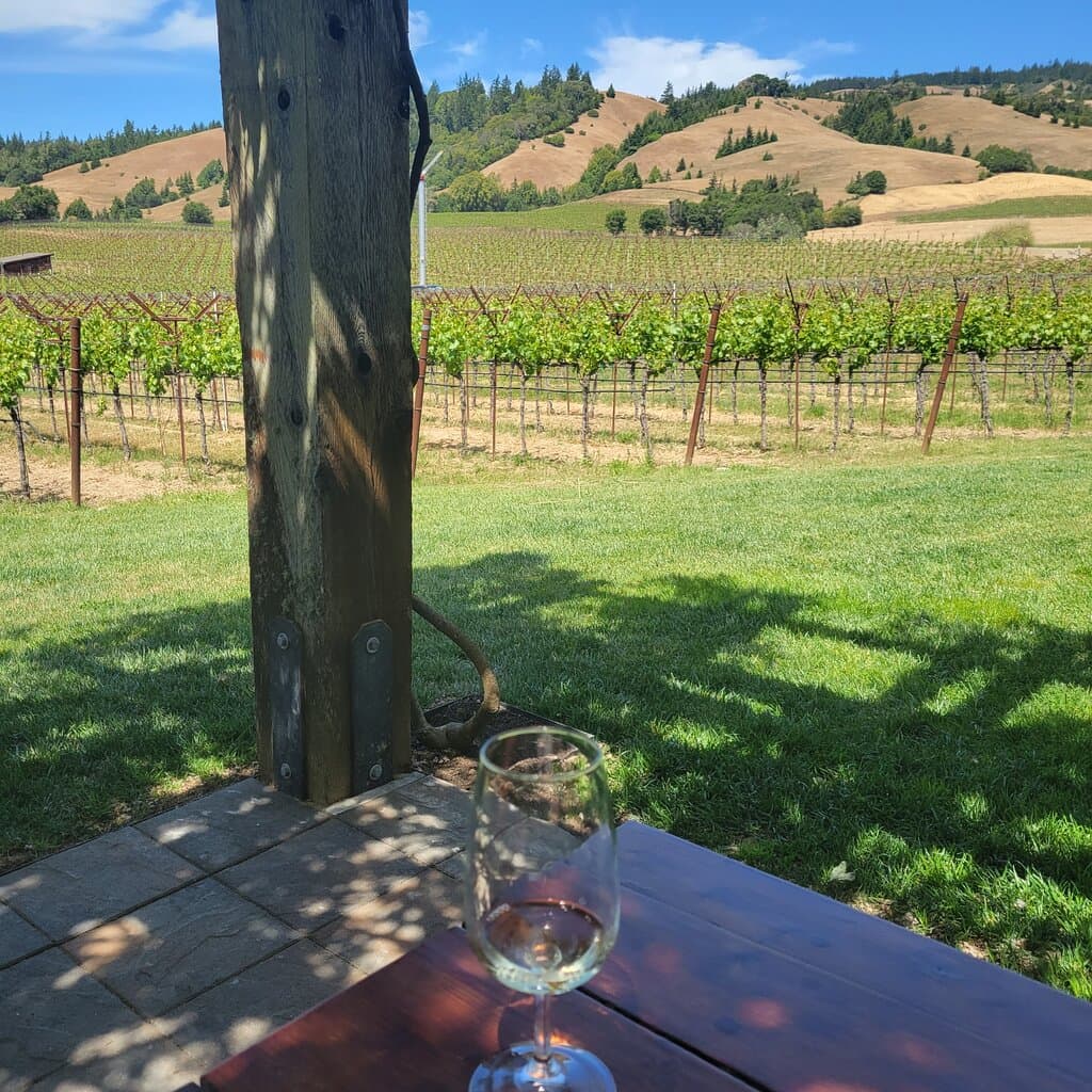 Navarro Vineyards