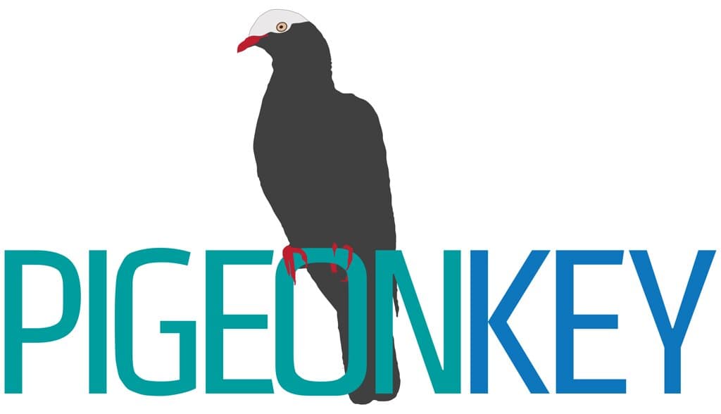 Pigeon Key