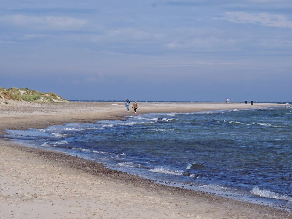 Odden er smuk, også på et foto.