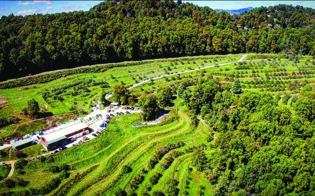 A drone's eye view from the "back end" of the Orchard