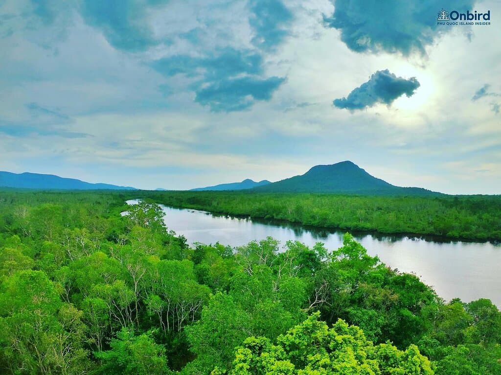 The view of Phu Quoc National Park and Rach Tram river from an observatory towel