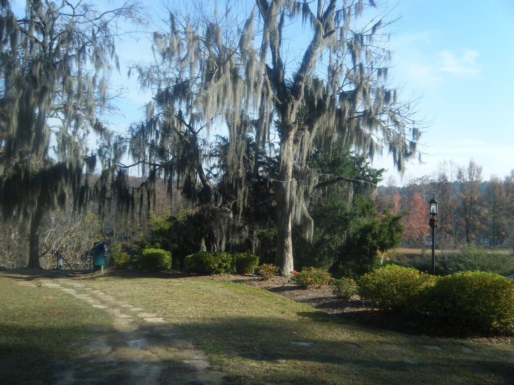 North Augusta Greeneway