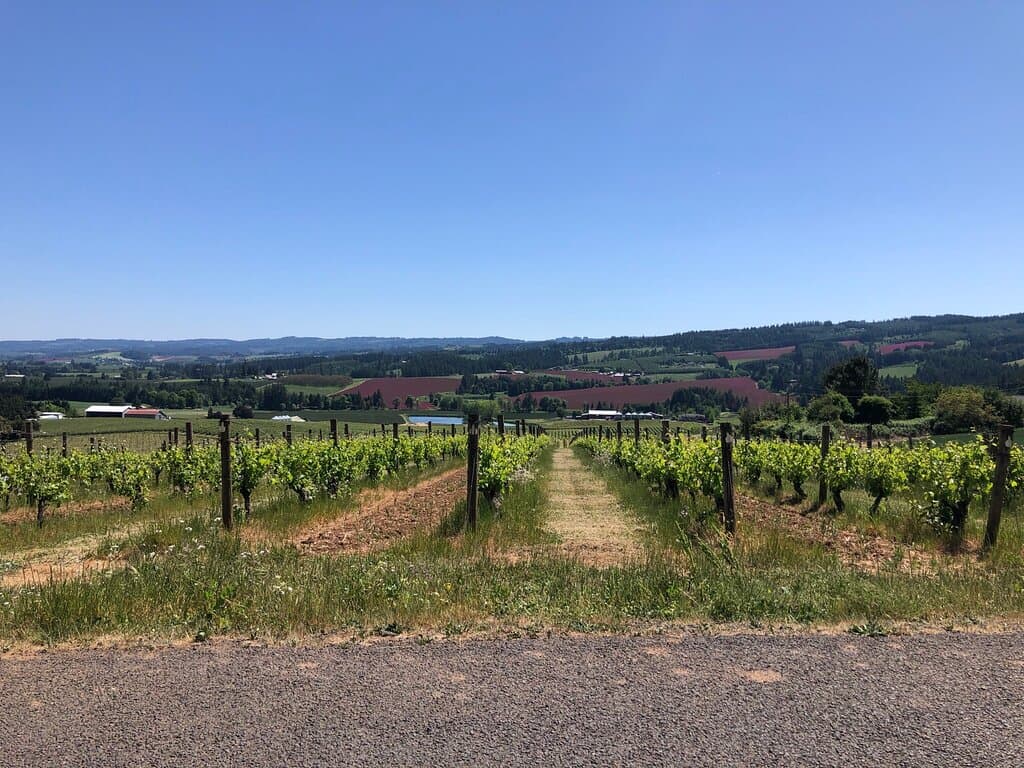 Oak Knoll Winery