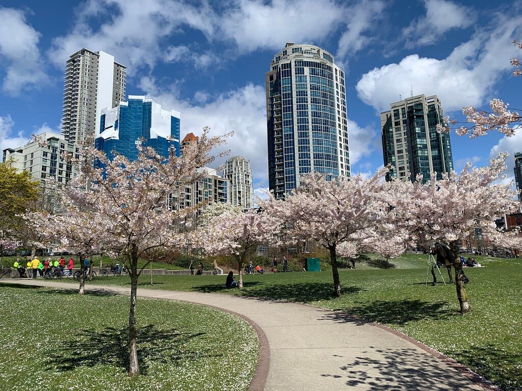 David Lam Park