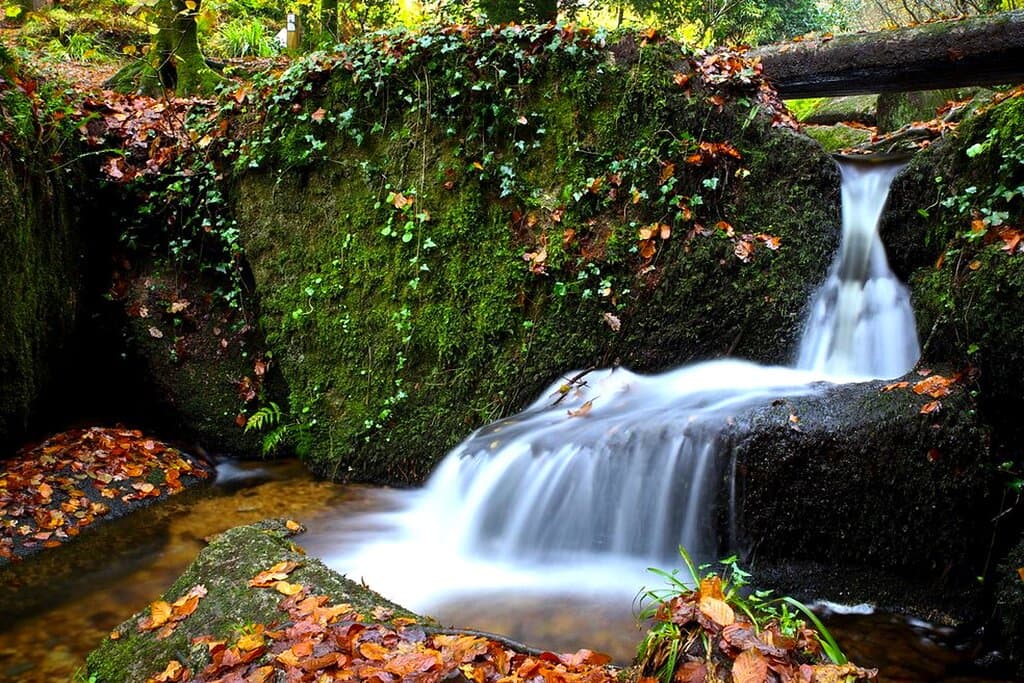 Foret d'Huelgoat , s'inspirer du chant des cascades /Huelgoat forest, be inspired by the song of the waterfalls 