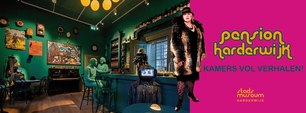 Wees welkom in Harderwijk! Door de eeuwen heen is de stad gevormd en gekleurd door het komen en gaan van mensen uit alle windstreken en met de meest uiteenlopende achtergronden.

In Pension Harderwijk maak je kennis met een aantal van deze mensen. Elke pensiongast vertegenwoordigt een bijzondere periode uit het roemrijke verleden van de stad. Door hun ogen komt het verleden van Harderwijk tot leven.