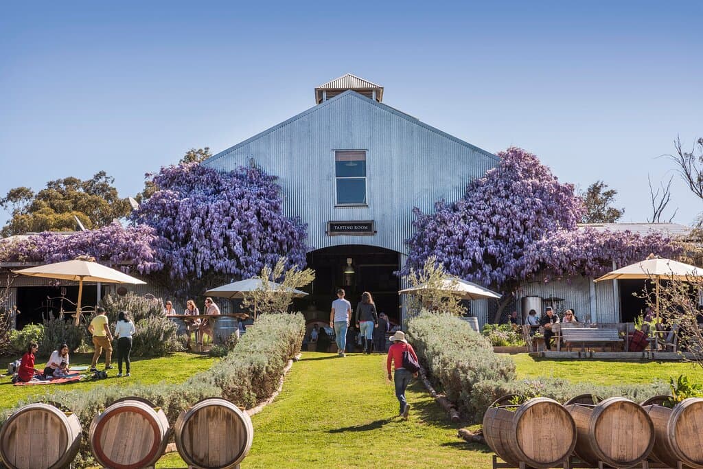 Spring at Lowe Family Wine Co 