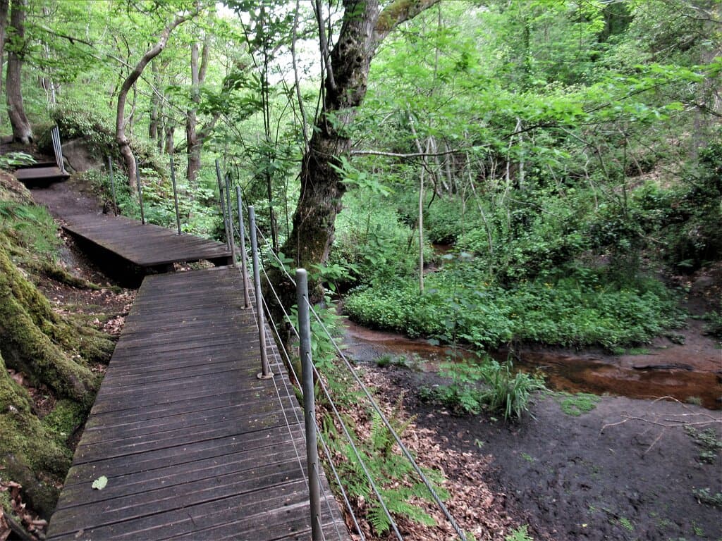 Sur le sentier de la ballade