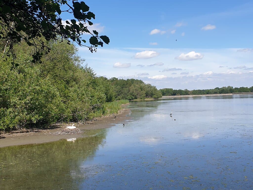 Aldenham Country Park