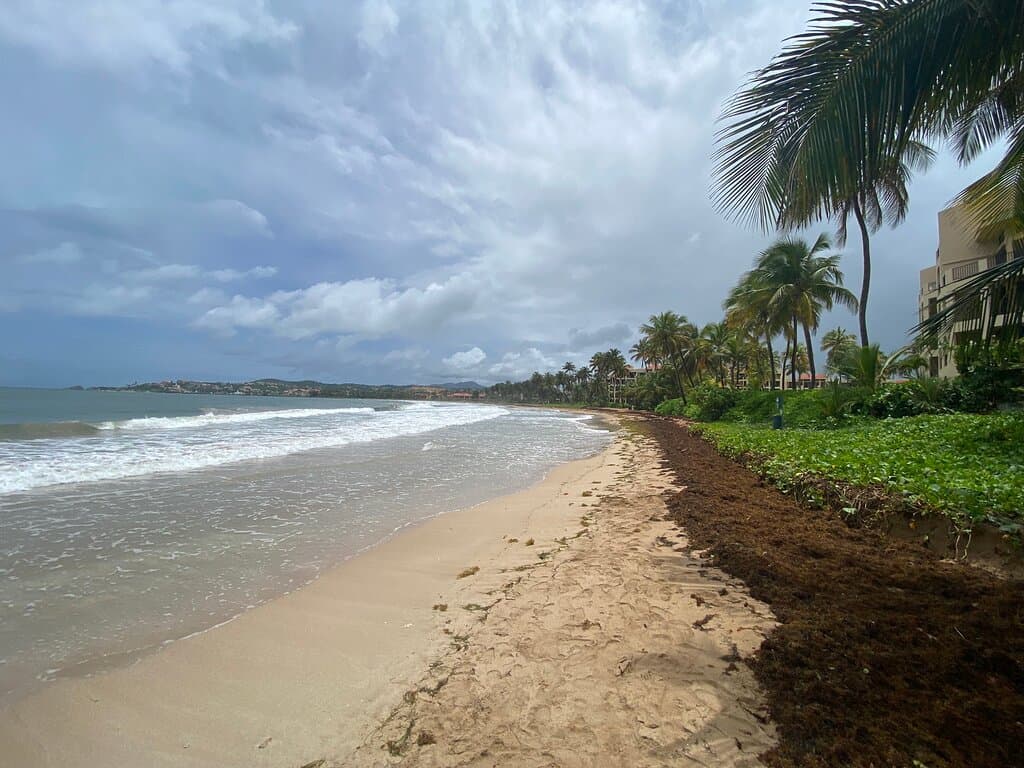 Palmas del Mar Beach Puerto Rico