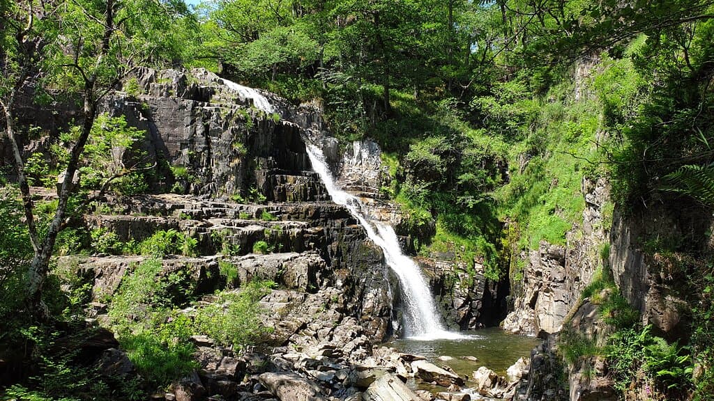 Coed y Brenin Forest Park