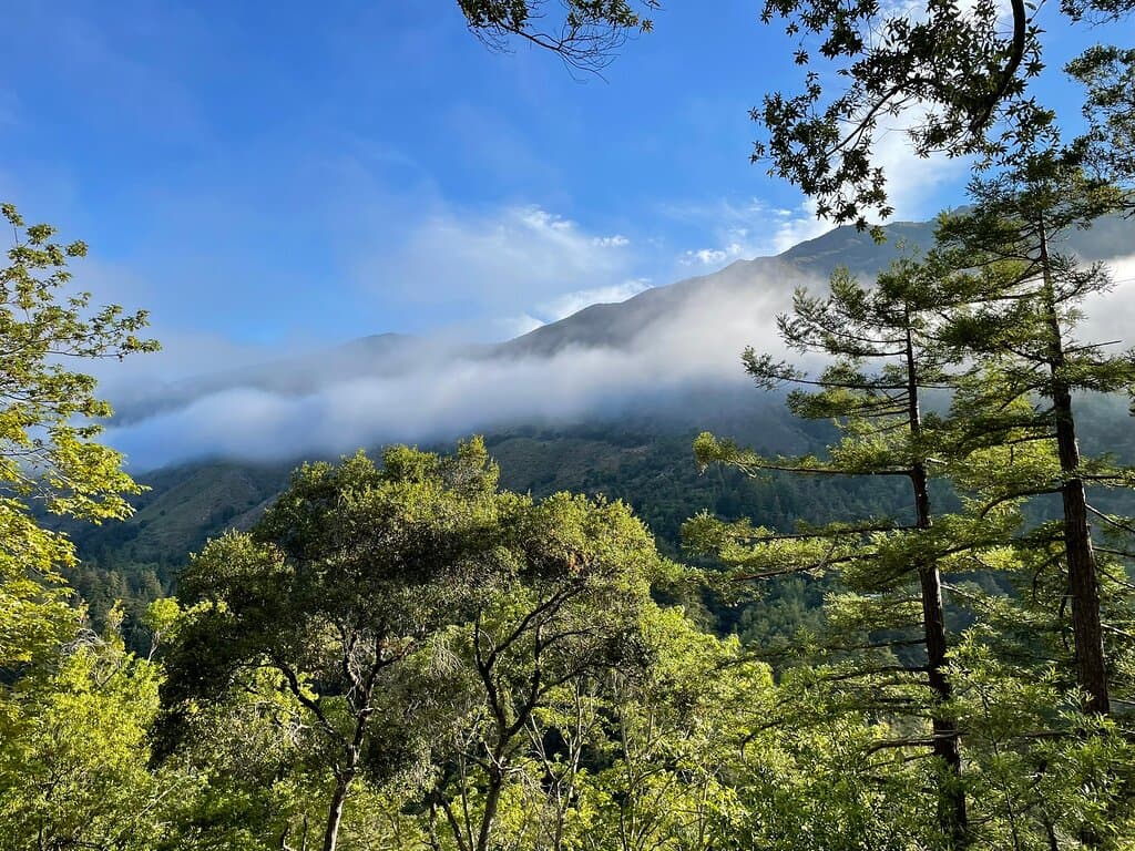 Buzzard's Roost Trail