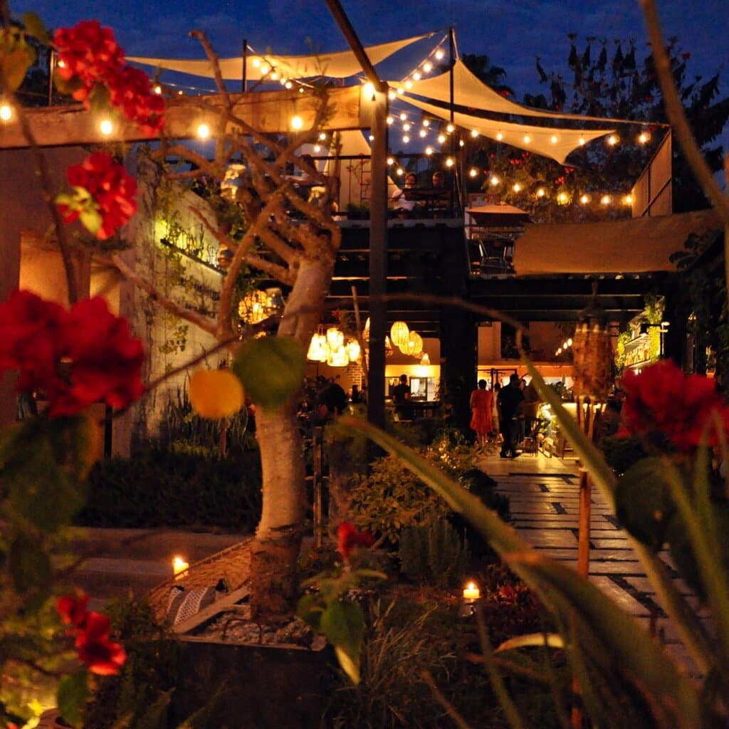 Rehearsal dinner, Business event or social event? Let us make your next event one that everyone will talk about! 🌿
Reservations:
Joelle Lafrenière
+52 331 858 4970
rrpp@jardinsecretocabo.com.mx
¿Cena de ensayo, evento empresarial o evento social? ¡Permítanos hacer de su próximo evento uno del que todos hablen! 🌿
Reservaciones: Joelle Lafrenière
+52 331 858 4970 rrpp@jardinsecretocabo.com.mx