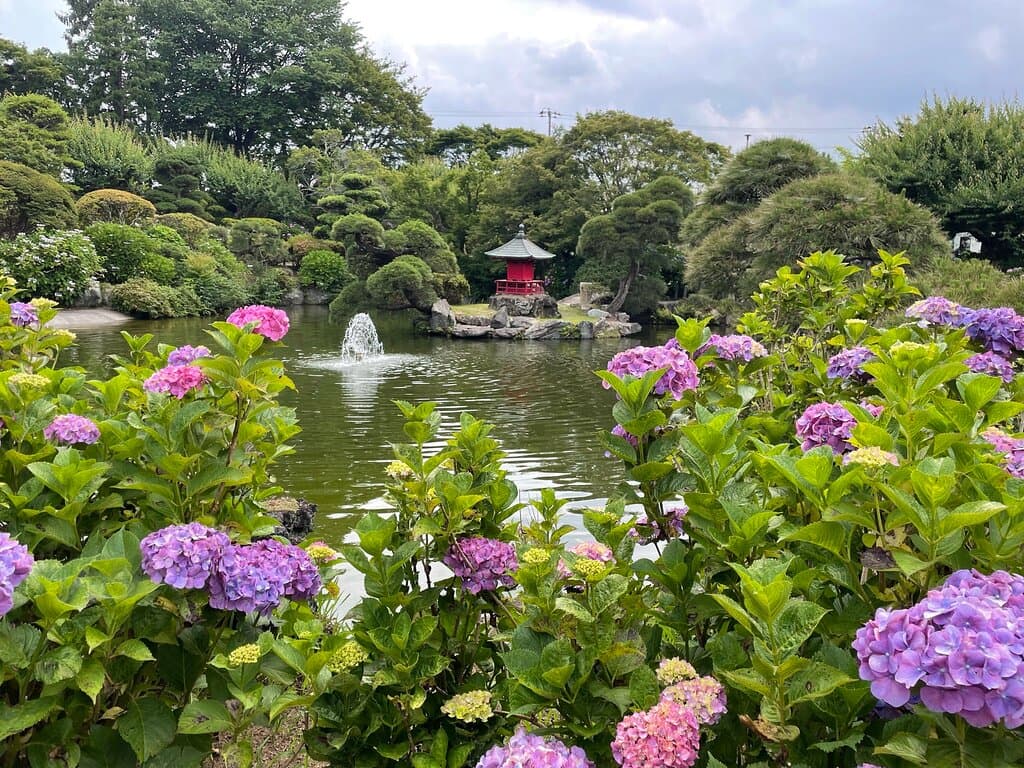 Howaen Hydrangea Garden