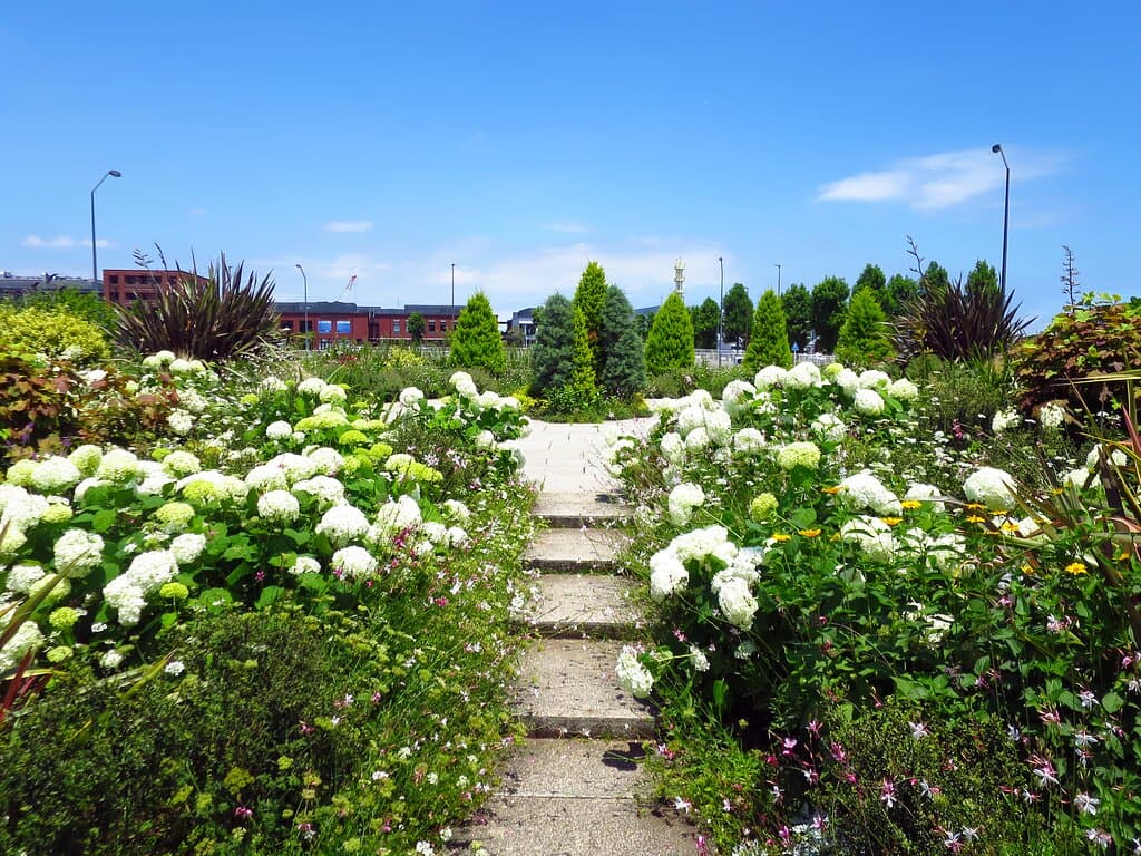 新港中央広場 / Shinko Central Plaza